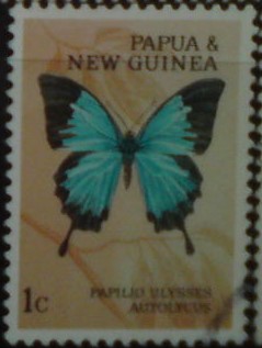 Papua nová Guinea 83