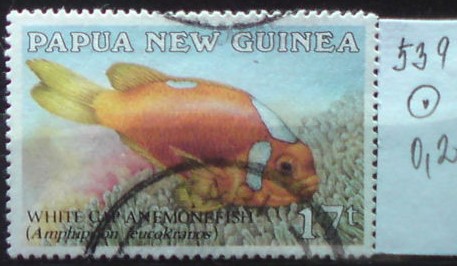 Papua nová Guinea 539