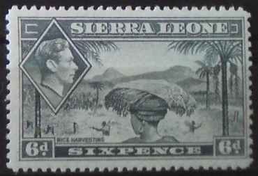 Sierra Leone 160 **