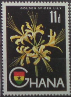 Ghana 56 **