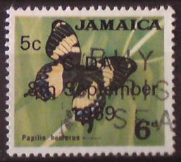 Jamajka 285