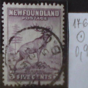 Newfoundland 176