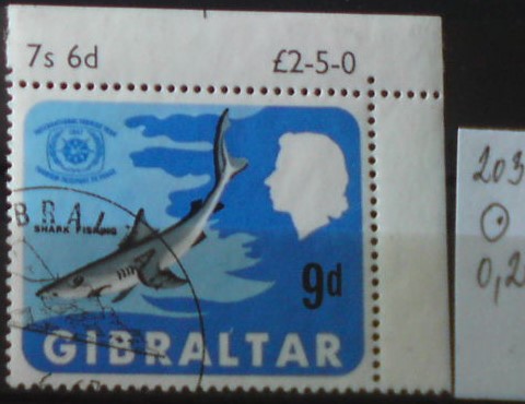 Gibraltar 203