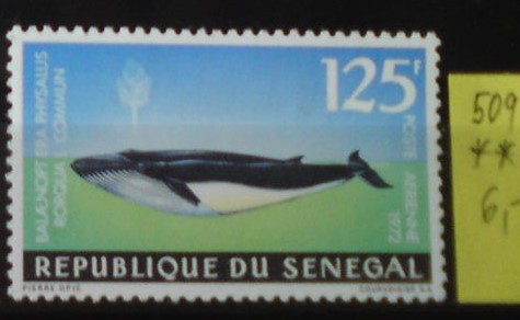 Senegal 509 **