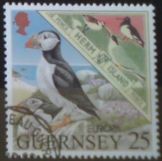Guernsey 809