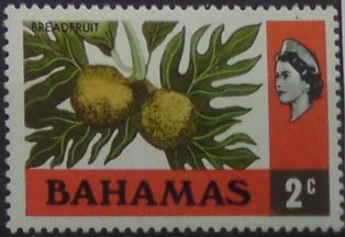 Bahamy 319 **