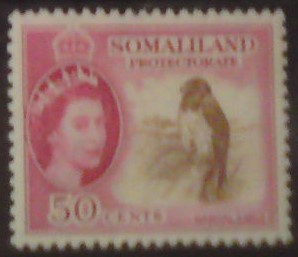 Britské Somálsko 127 **