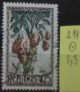 Alžírsko 291