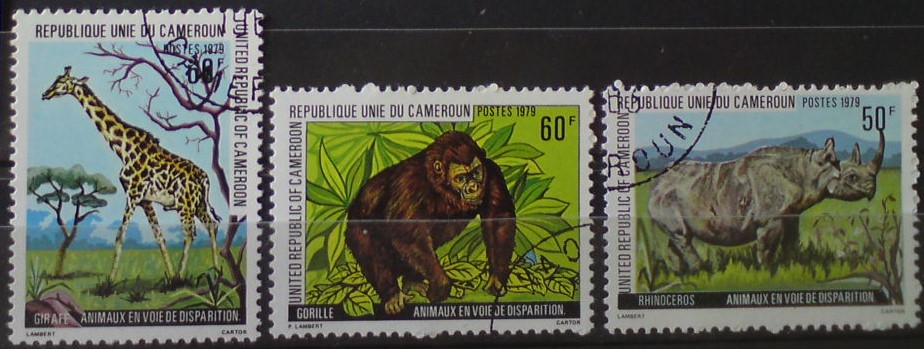 Kamerun 904/6