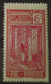 Kamerun 81 *
