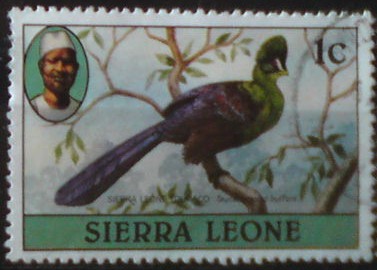 Sierra Leone 590 ll.