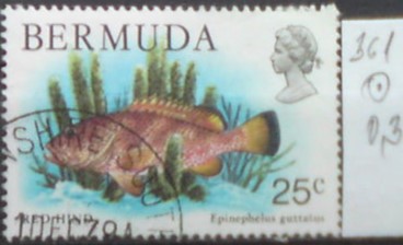 Bermudy 361