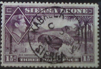 Sierra Leone 154