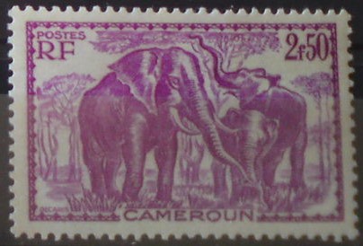 Kamerun 151 *