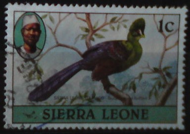 Sierra Leone 590 l.