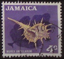 Jamajka 311